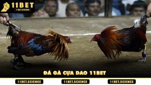 Đá Gà Cựa Dao 11BET