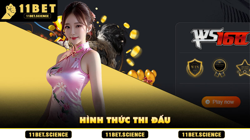 Hình thức thi đấu